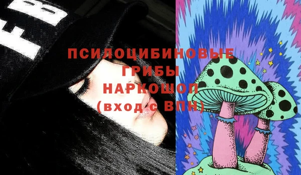 гашик Нефтегорск
