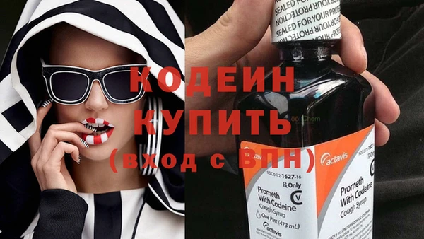 дмт Арсеньев